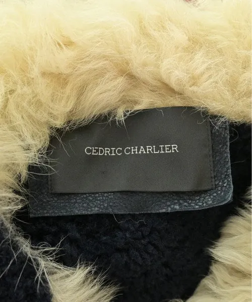 CEDRIC CHARLIER Autre