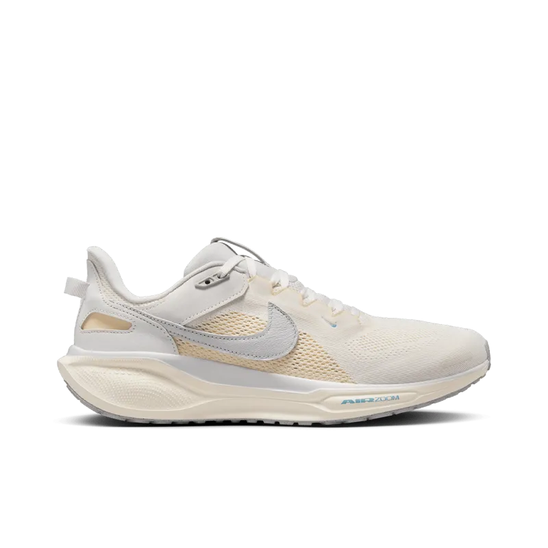 Chaussures de sport Nike Air Zoom Pegasus 41 SP