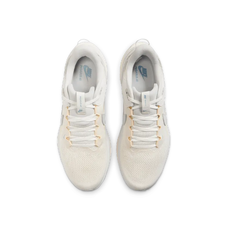 Chaussures de sport Nike Air Zoom Pegasus 41 SP
