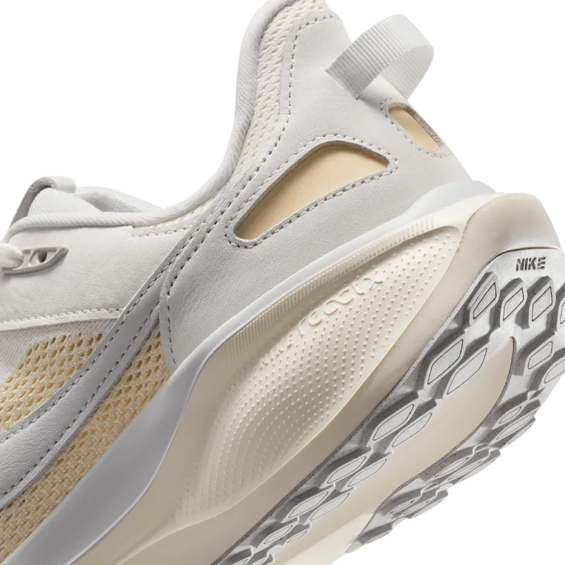 Chaussures de sport Nike Air Zoom Pegasus 41 SP