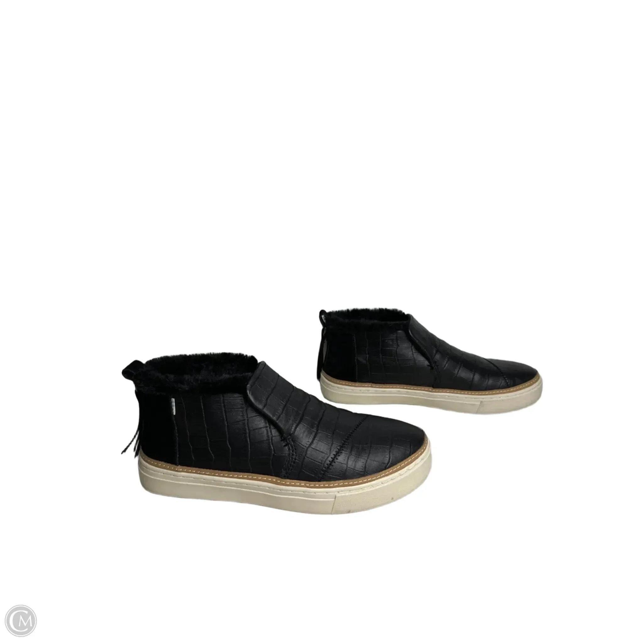 Chaussures Sneakers Par Toms En Noir, Taille : 8.5