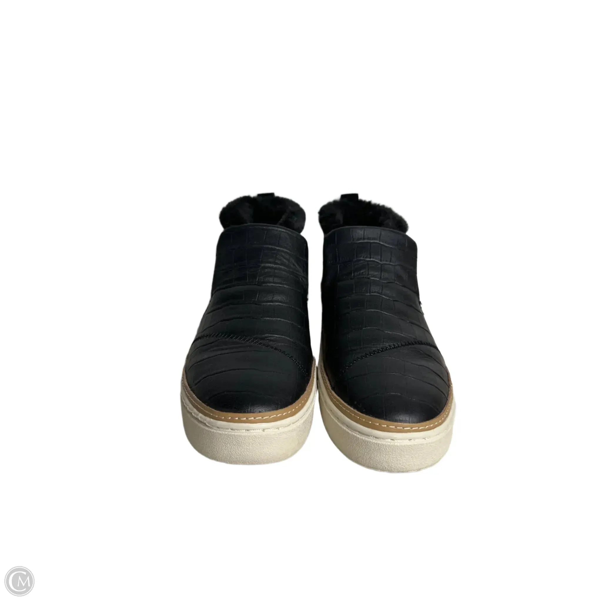 Chaussures Sneakers Par Toms En Noir, Taille : 8.5